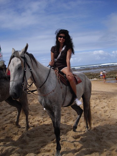 IMGP3594.JPG IMGP3594.JPG