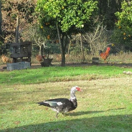 23904710_1861566147204557_6360983995739537408_n.jp