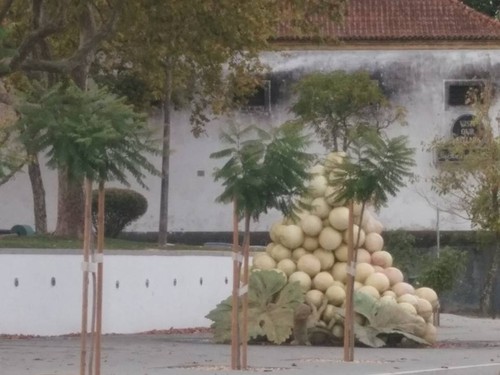 14671249_782349831904780_7927807023162317019_n.jpg 14671249_782349831904780_7927807023162317019_n.jpg