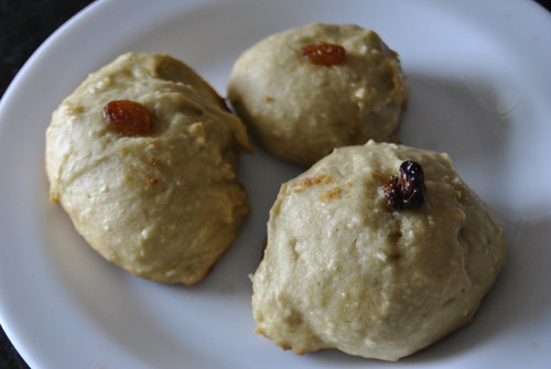 _DSC0240.JPG _DSC0240.JPG