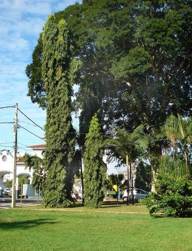 FGA-AKOSHA.jpg FGA-AKOSHA.jpg