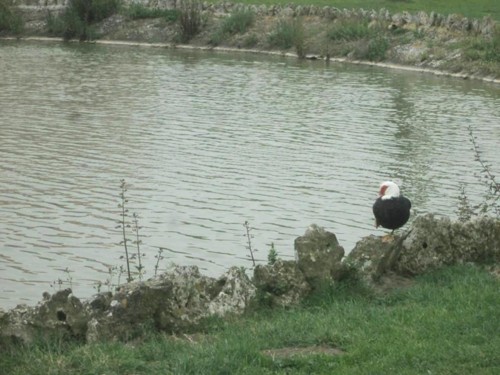 33020798_1652201624895136_4570842073443336192_n.jp 33020798_1652201624895136_4570842073443336192_n.jp