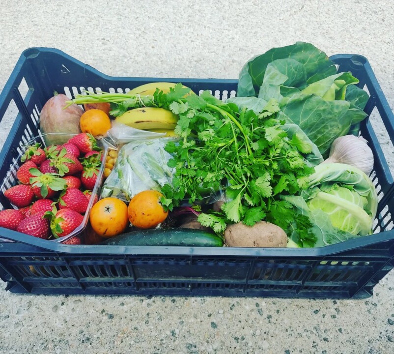 496491080_18477372928066958_3620065623478221647_n.