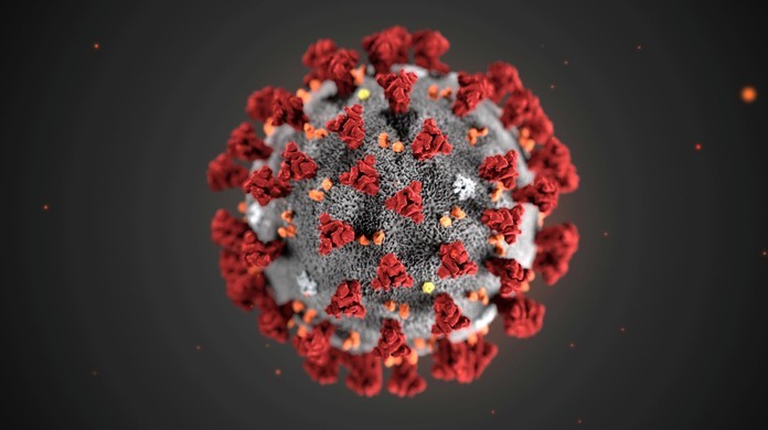coronavirus-4-.jpg