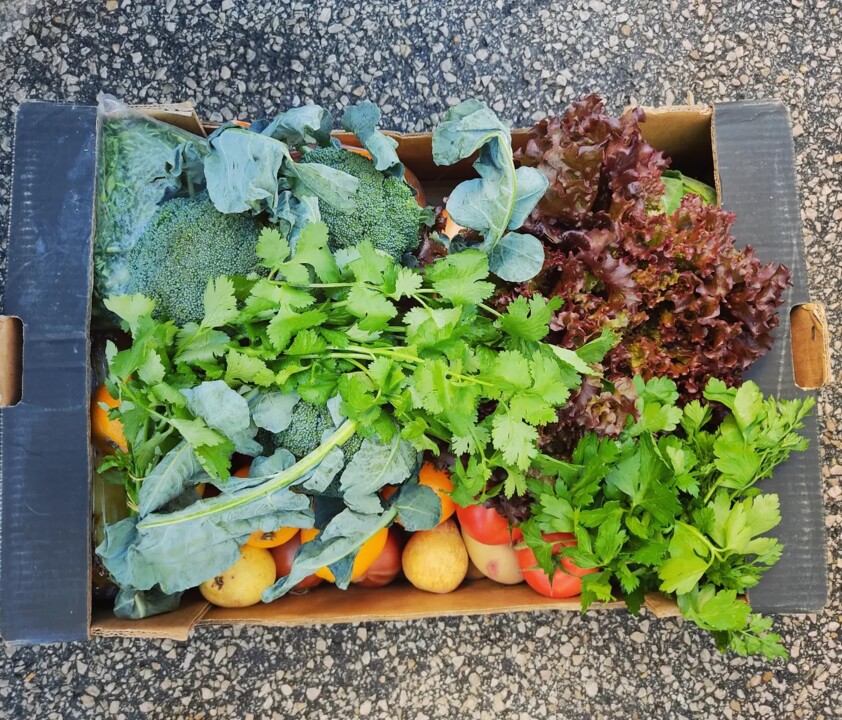 409079565_736736455150434_5820009058764617952_n.jp