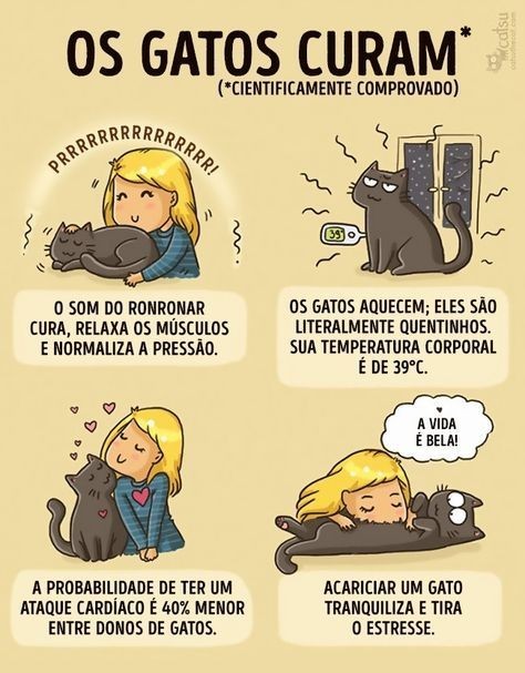 Os gatos é que mandam em nós! - Clube de Gatos do Sapo