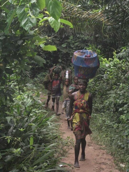 357351234_1333265037259426_7492612266829119148_n.j