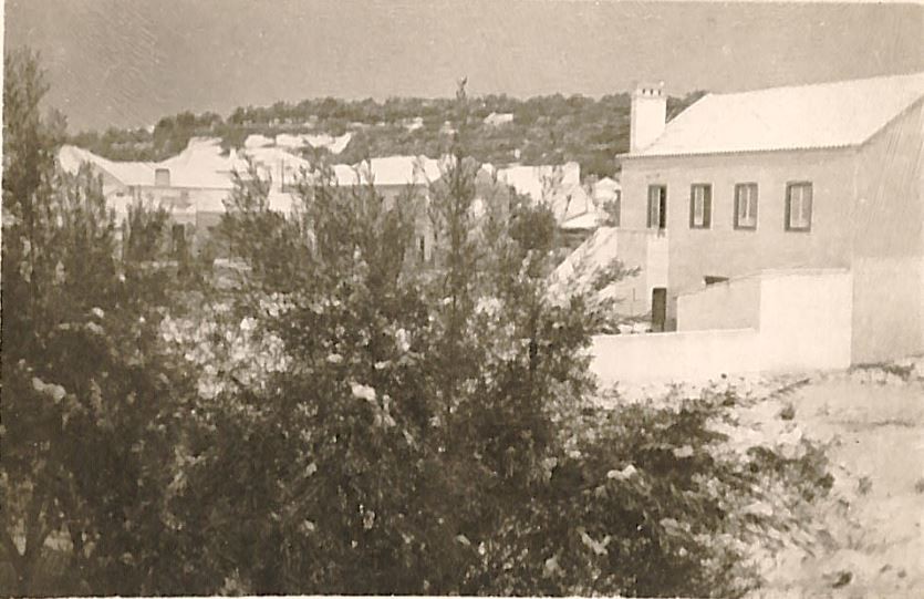 neve em alcacer do sal 4.JPG