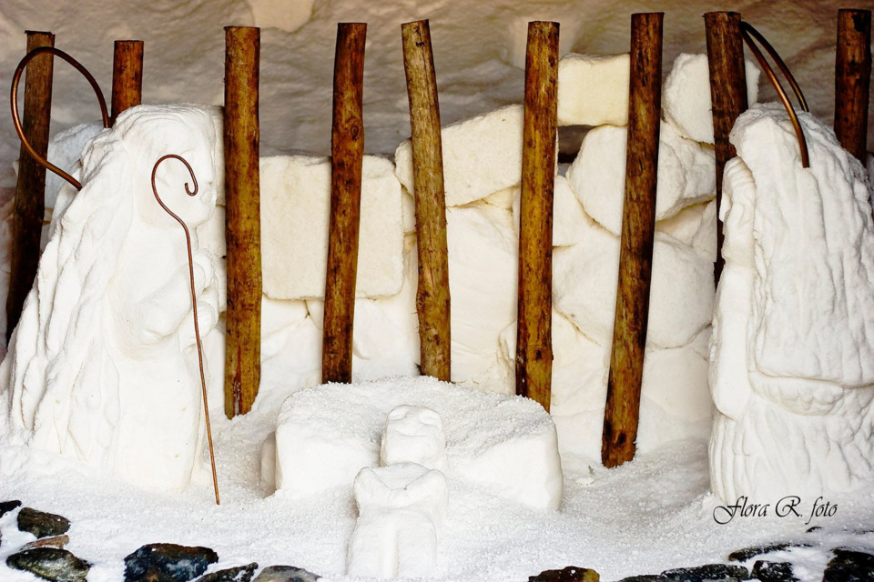 10286768_10205356191965922_5100256643675357571_o (