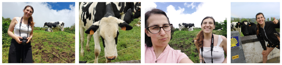 Post's Blog  (6).png