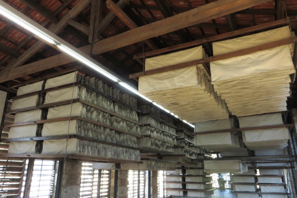 IMG_4391.JPG IMG_4391.JPG