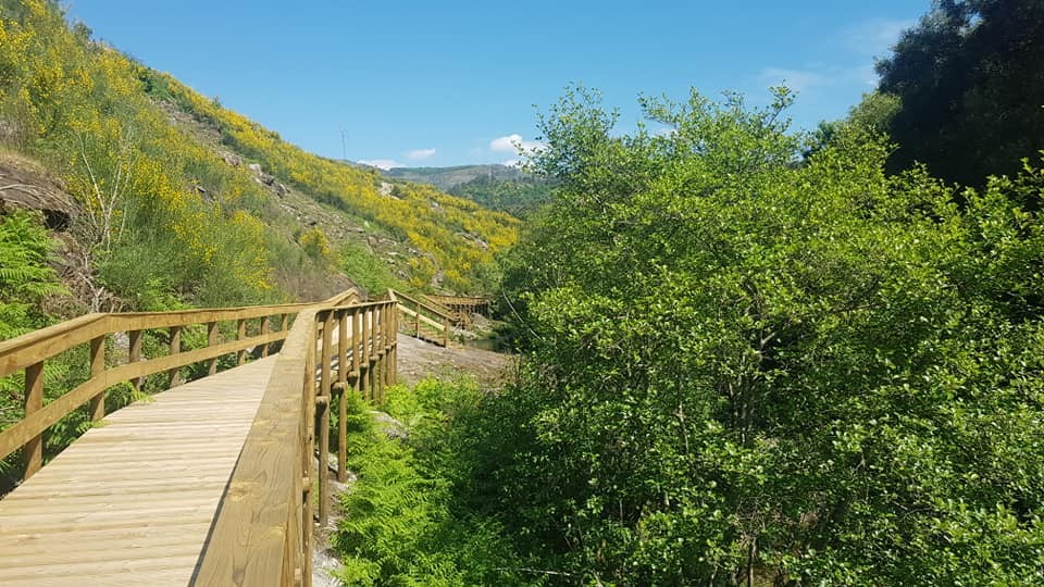 175376650_4332886470055334_6039969217036199105_n.j