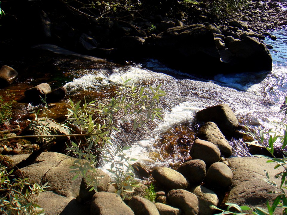 937 c 80--Foz do Rio Trancoso.-105.JPG