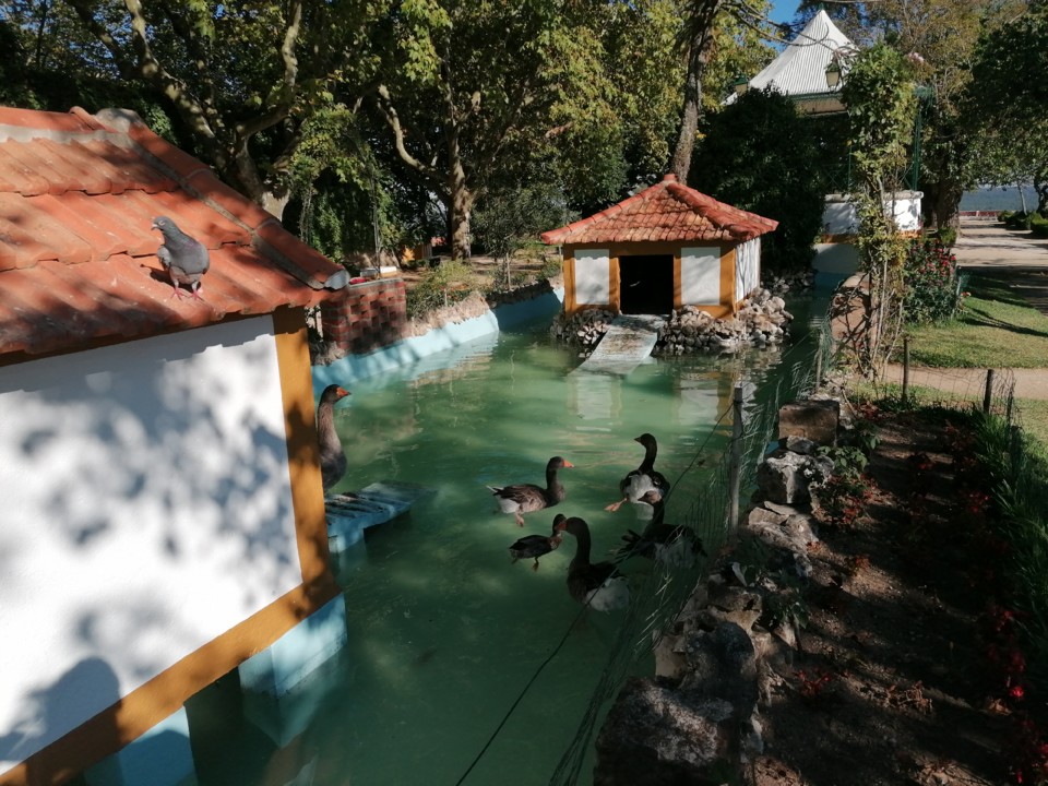 IMG_20200822_174106.jpg IMG_20200822_174106.jpg