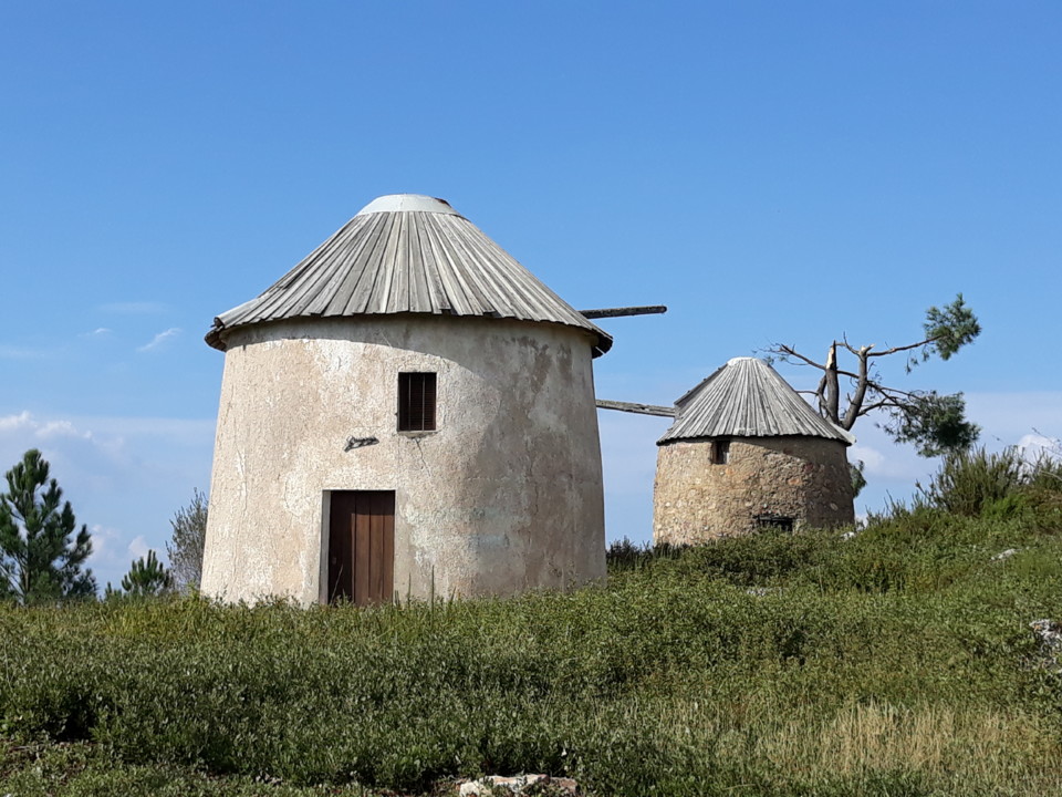 20181020_144250.jpg 20181020_144250.jpg