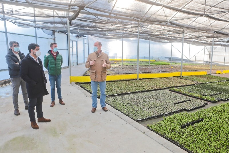 fotos (9)caldeiroes.jpg