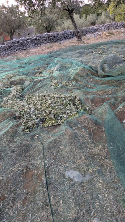 Imagem WhatsApp 2025-10-12 às 23.03.45_900d0f39.j