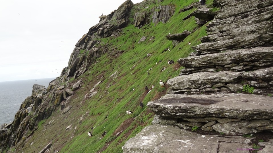 DSC06989.JPG DSC06989.JPG