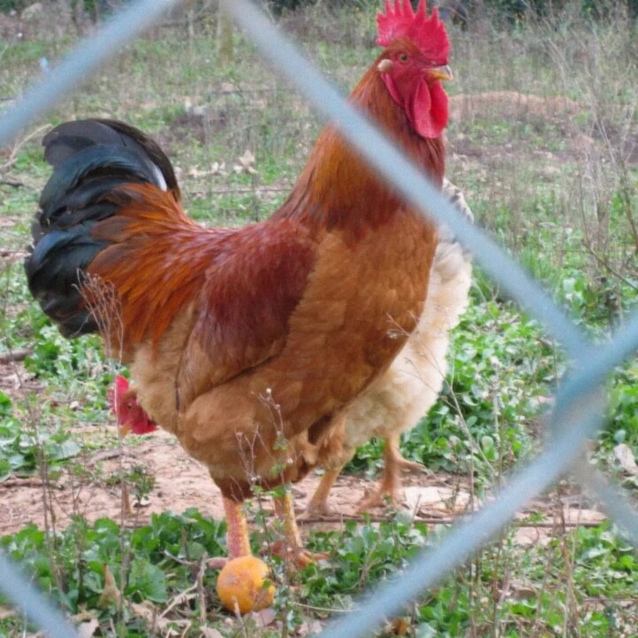 430051448_795002812657131_3307486925223716733_n.jp