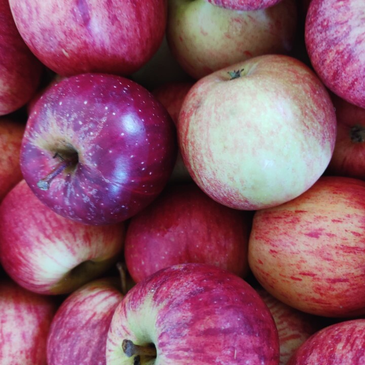 469327074_974175508073193_8307556815666063420_n.jp