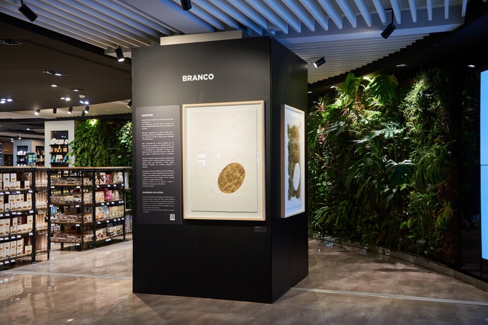 Exposição Catarina Mendonça 1.jpg