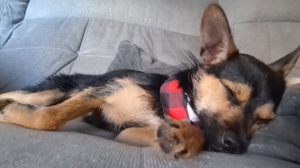 Imagem WhatsApp 2025-07-29 às 16.16.56_4576344e.j