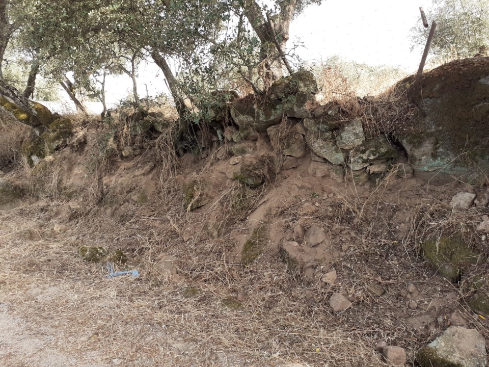 Ação de javalis. Foto original. 2021.07.11.jpg