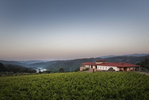 quinta de lemos.jpeg