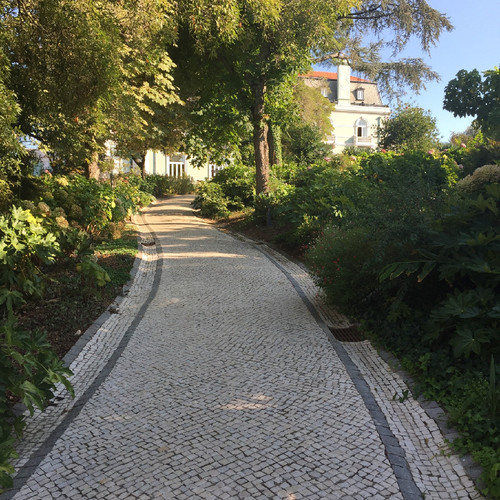 image.jpeg image.jpeg