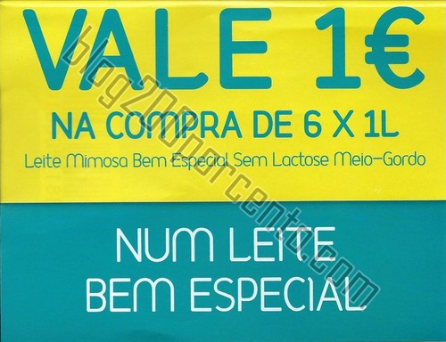 Vale mimosa frente