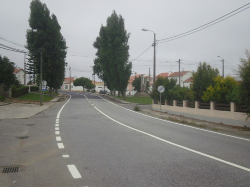 P7105583.JPG P7105583.JPG