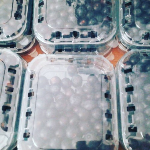 31318386_1086604988145928_1088620034563373720_n.jp