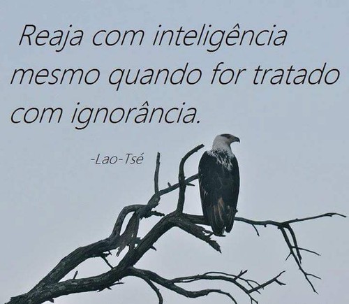 11248336_10208057390018047_1221243875974635146_n.j