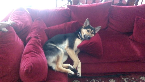 IMG_20160123_101553.jpg IMG_20160123_101553.jpg