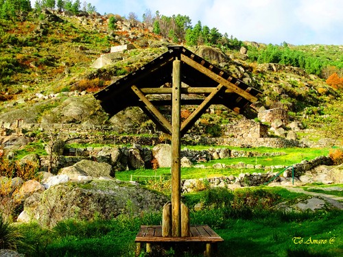 Fotos de Outono !!! 061.jpg