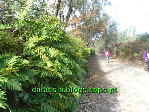 Trilho_Eiras_Famalicao_04.JPG