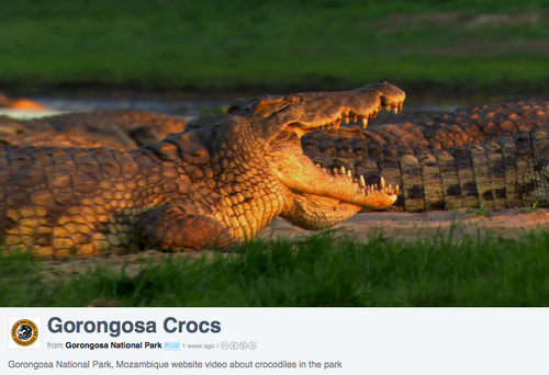 Screen Shot 2012-11-21 at 10.38.55 AM.png