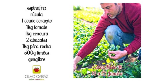 Cabaz Misto M 19a22Jan.jpg