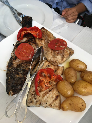 Açores_tlm (1 de 1).jpg