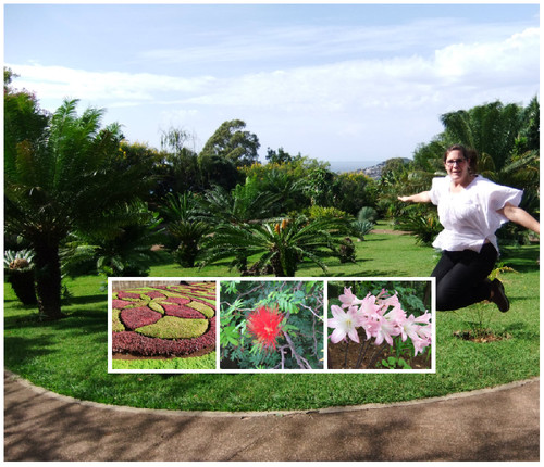 Jardim botanico.jpg