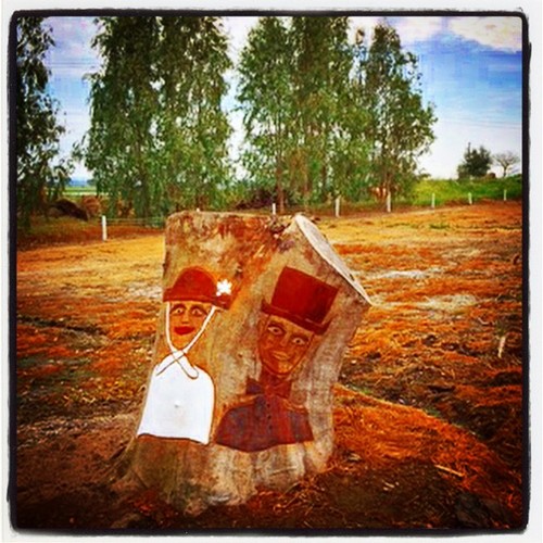 IMG_4392.JPG IMG_4392.JPG