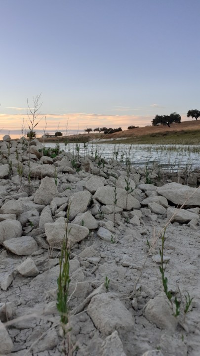 20200821_195940.jpg 20200821_195940.jpg