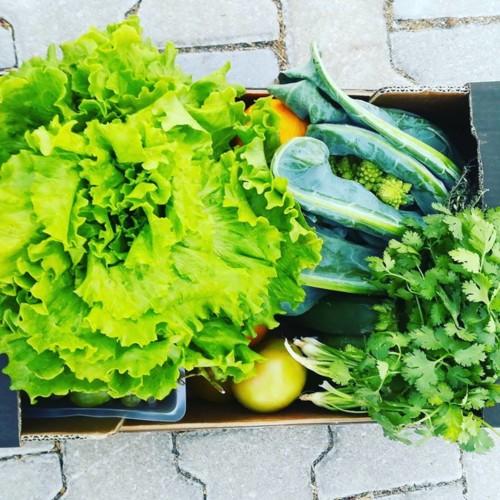 43483673_1222274701245622_993165054956273664_n.jpg 43483673_1222274701245622_993165054956273664_n.jpg