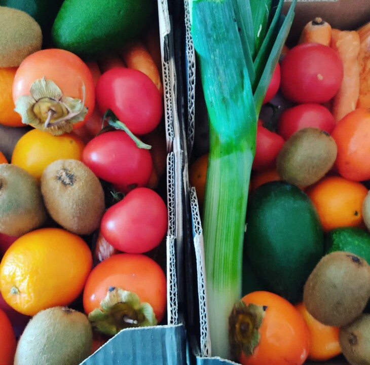 405565050_730449199112493_4510081730615721661_n.jp