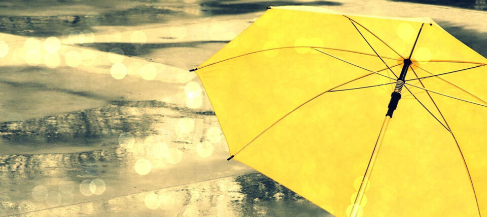 chapeu-chuva-amarelo.jpg