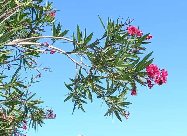 240186267_4223868024395137_3666498689009919234_n.j