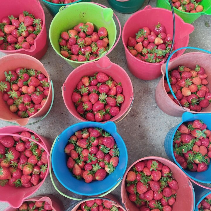 499807299_18479557981066958_5493973587106248788_n.