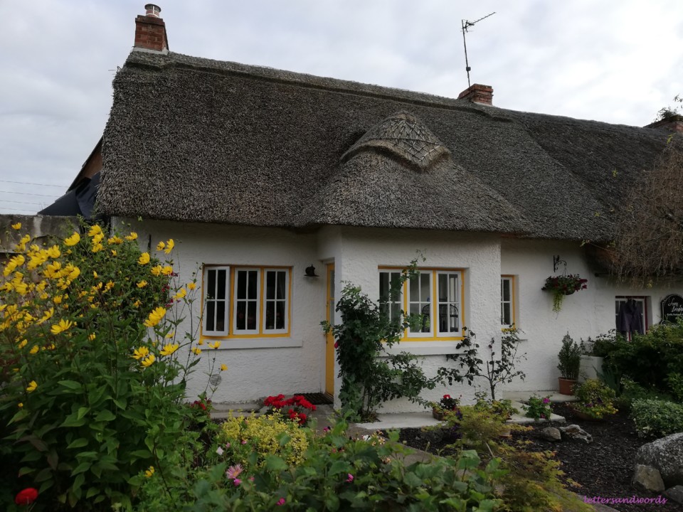 IMG_20190731_192305.jpg IMG_20190731_192305.jpg