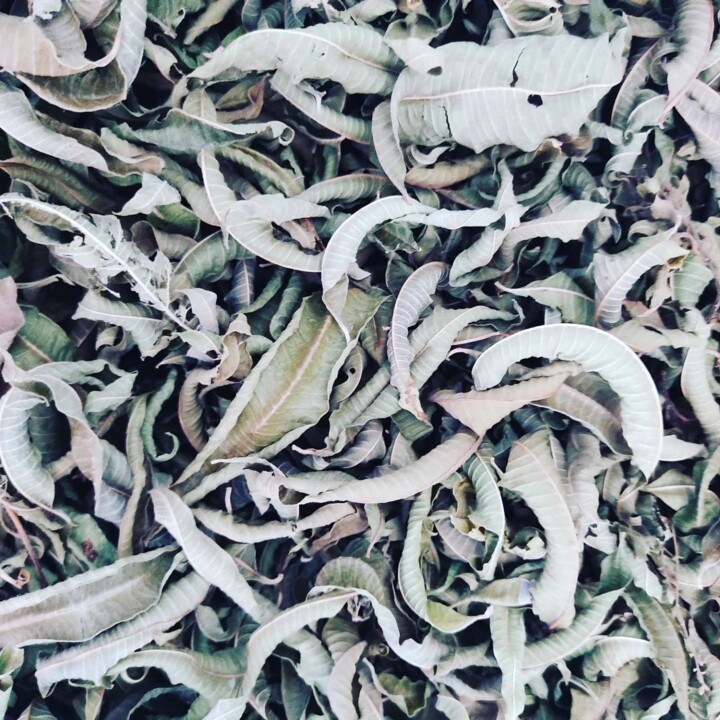 327971232_573582864428245_8656616562280111904_n.jp