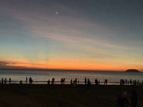 IMG_0446.JPG IMG_0446.JPG